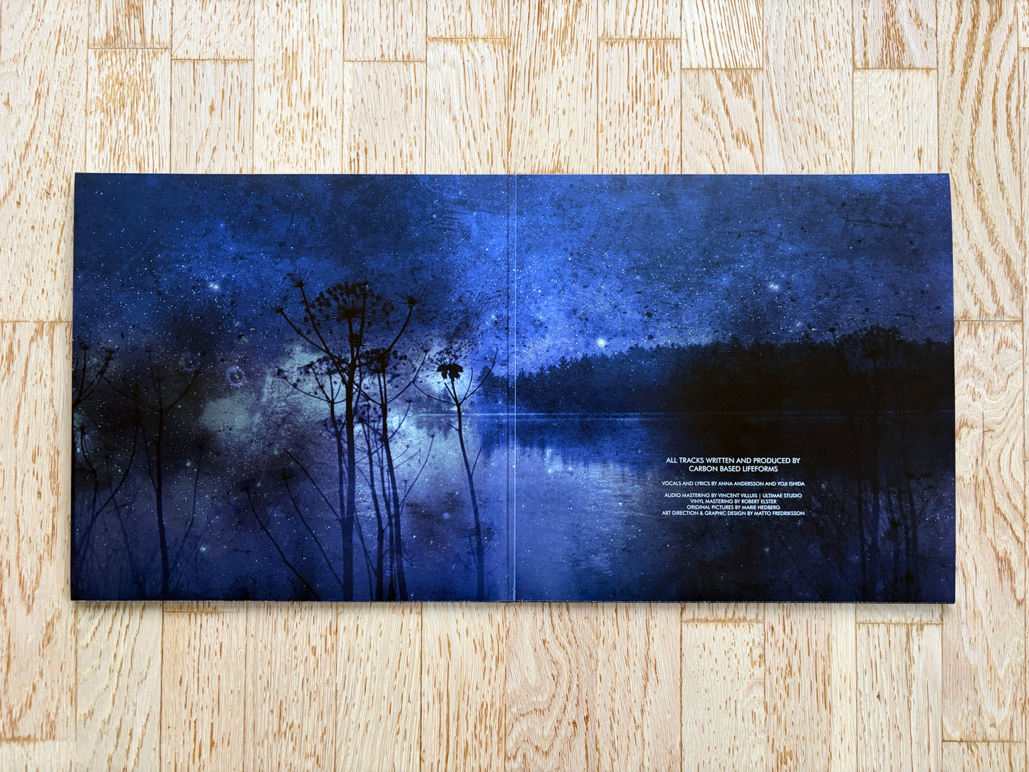 Hydroponic Garden Double Black Vinyl