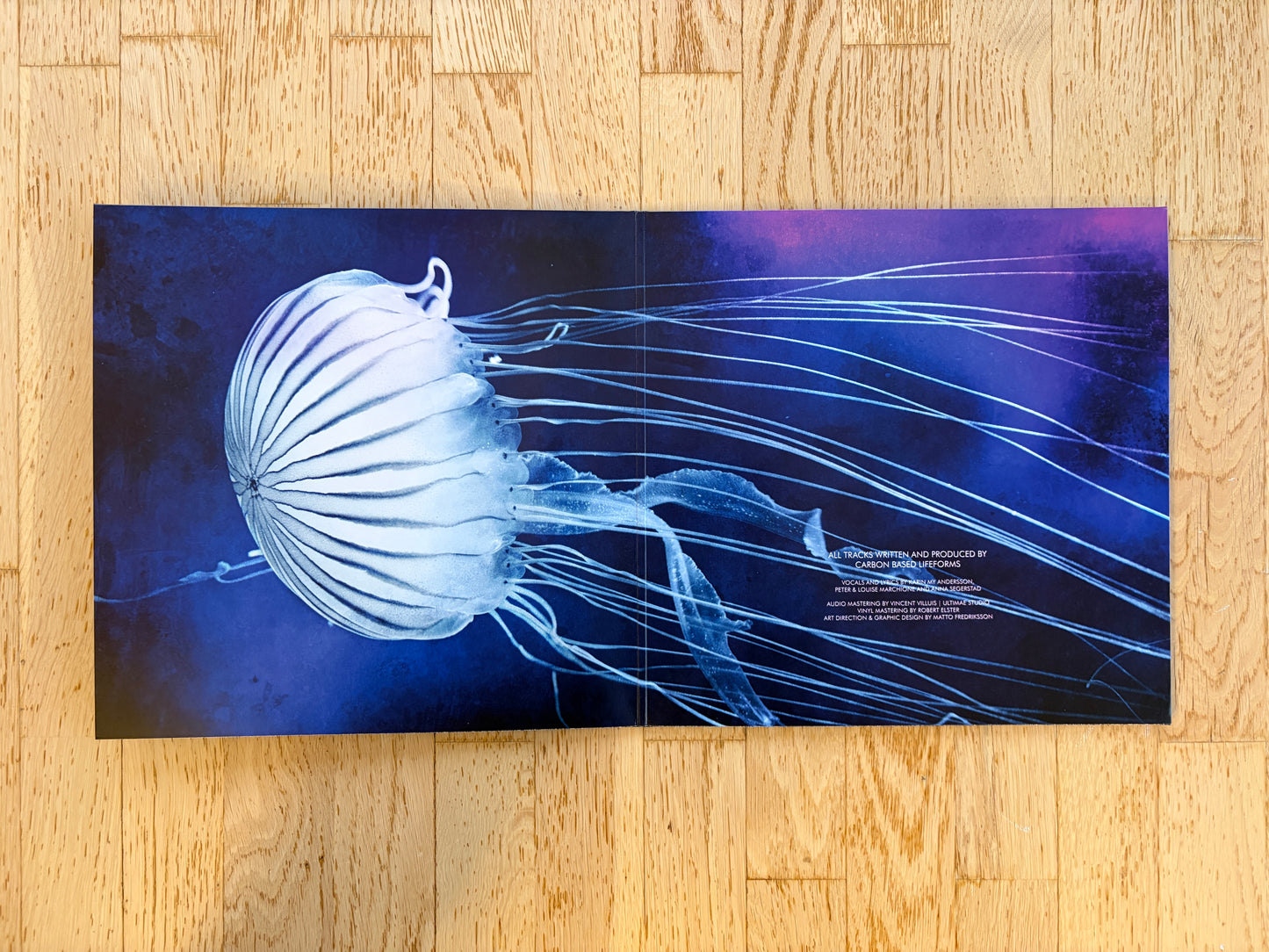 World Of Sleepers Double Marble Vinyl