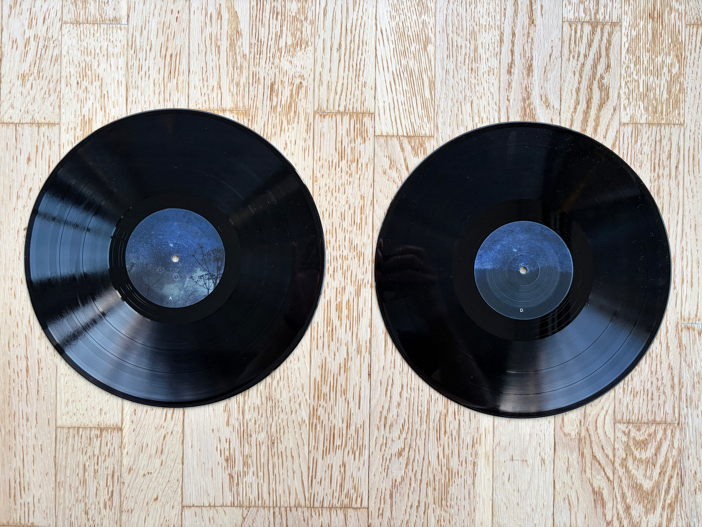 Hydroponic Garden Double Black Vinyl